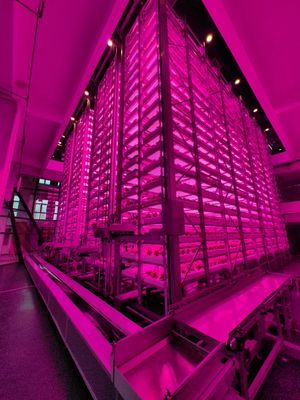 全球首座超高层无人化植物工厂正式投入运行
